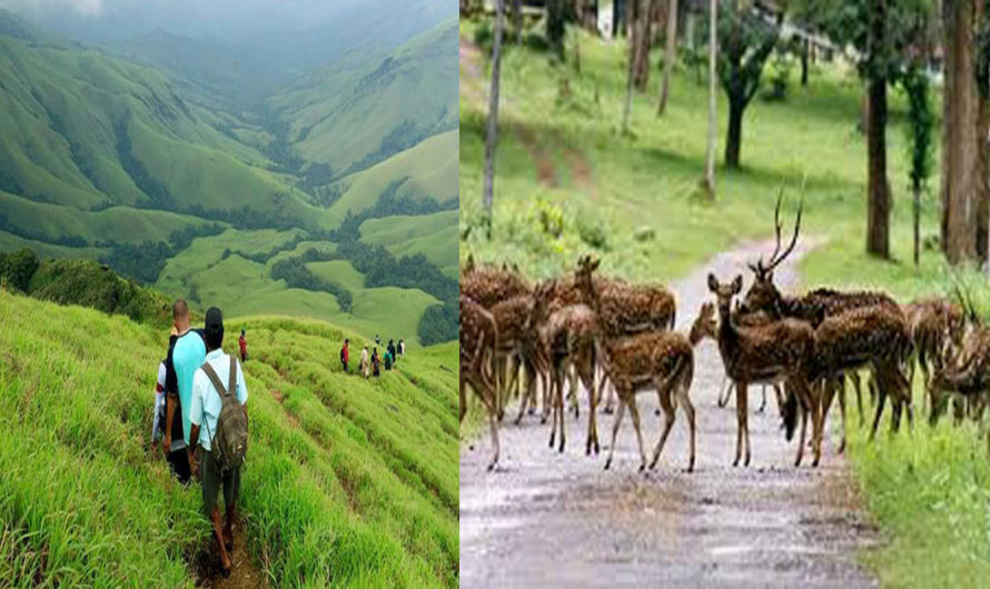 Tourist spots of kodagu coorg