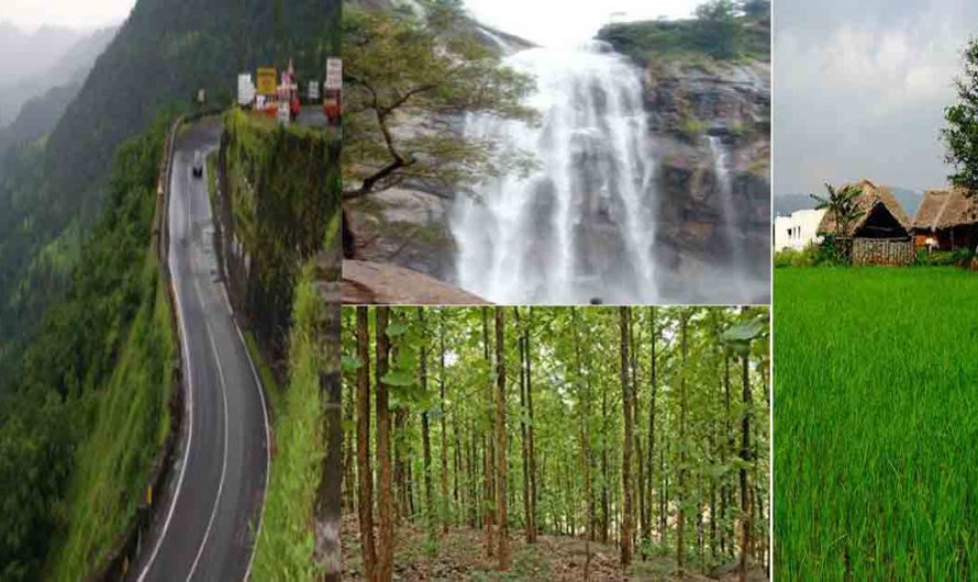 A 4 days trip to Yelagiri