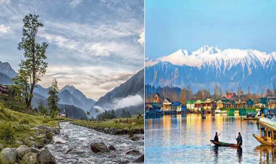 The insufficient sights of Kashmir