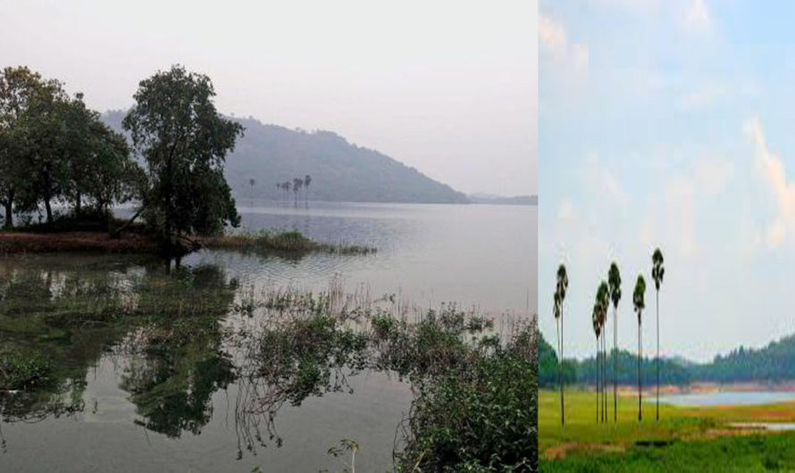 Tourist spot in Kava Palakkad