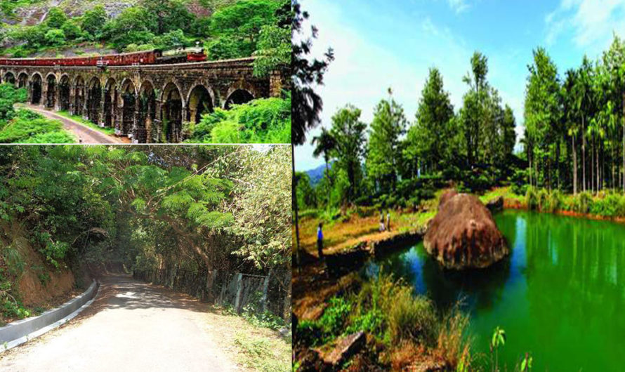 A travel  to Ambanadu hills of Kollam to see the tea plantation