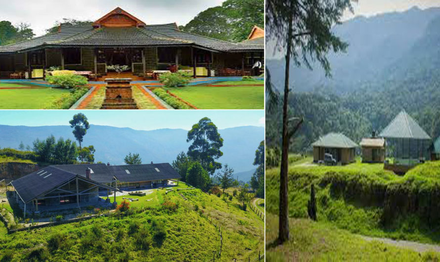 Pambadumchola national park in Kerala