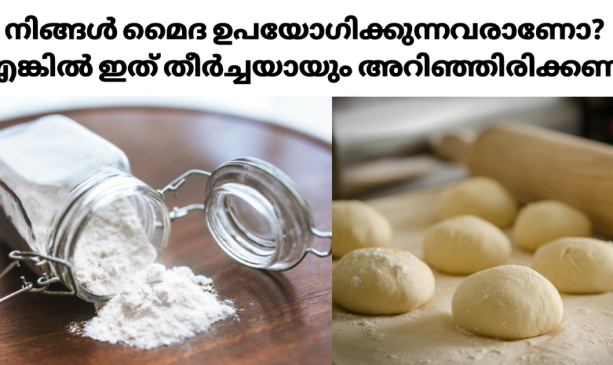 മൈദ ഉപയോഗിച്ചുള്ള ഭക്ഷണം കഴിക്കുന്നവർ ഈ കാര്യം അറിയാതെ പോകരുത്