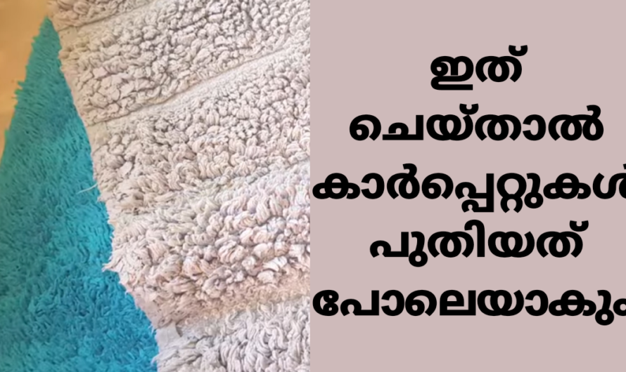 എത്ര പഴയ കാർപ്പെറ്റും പുത്തൻ പോലെയാക്കാം