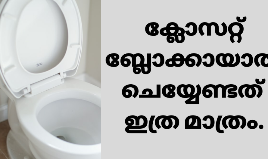 ക്ലോസെറ്റുകളിലെ ബ്ലോക്ക് മാറ്റാൻ ഈ ഉപായം ഫലപ്രദം.