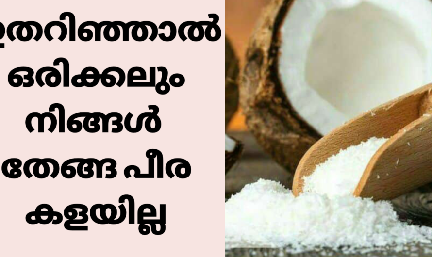 തേങ്ങാ പീര കളയാൻ വരട്ടെ ഉപയോഗങ്ങൾ നിരവധി