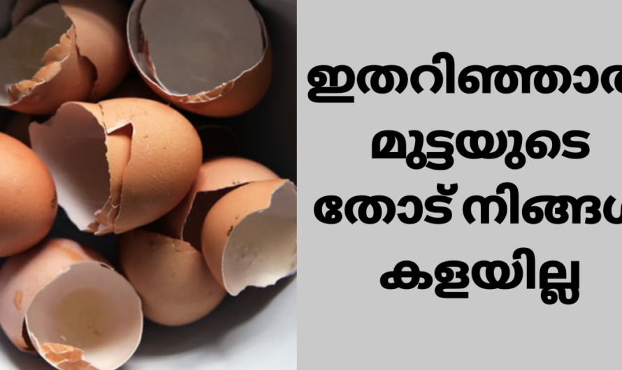 മുട്ടയുടെ തോട് വെറുതെ കളയല്ലേ അതിശയിപ്പിക്കുന്ന ഉപയോഗങ്ങൾ