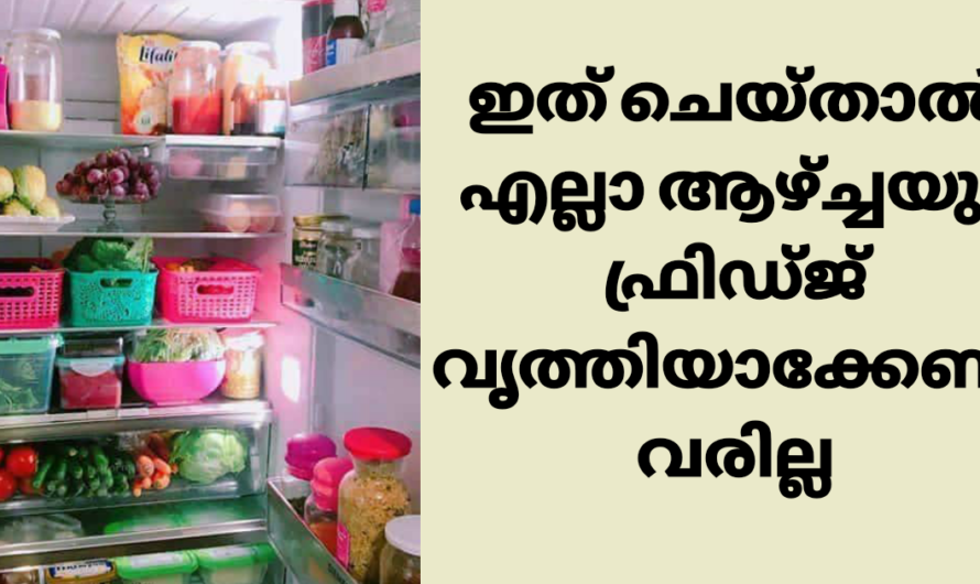 ഫ്രിഡ്ജ് എപ്പോഴും വൃത്തിയായിരിക്കാൻ ഇത് ചെയ്താൽ മതി