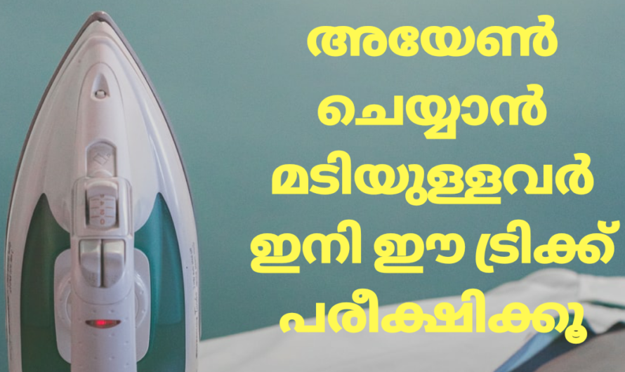 വസ്ത്രങ്ങൾ അയേൺ ചെയ്യുന്നതിന് മുൻപ് ഈ ട്രിക്ക് അറിയൂ