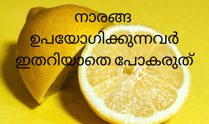 നാരങ്ങയുടെ ഞെട്ടിക്കുന്ന ഇത്തരം കാര്യങ്ങൾ