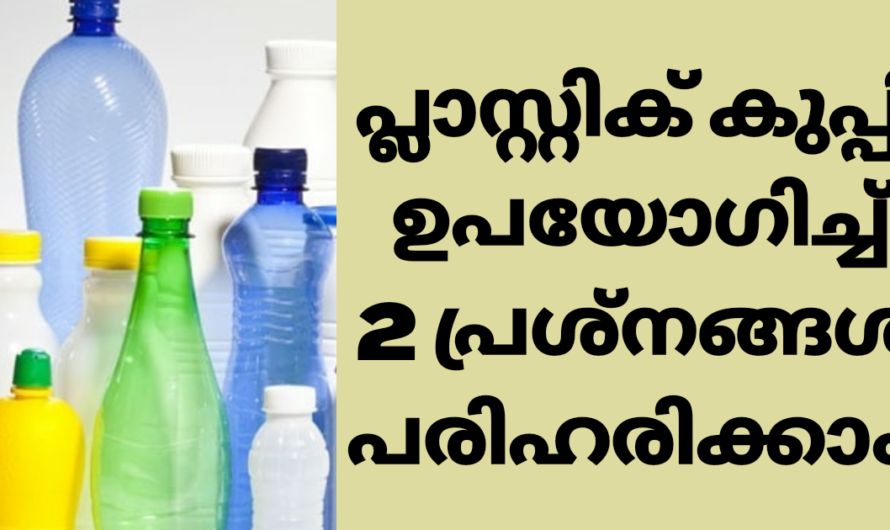 പ്ലാസ്റ്റിക്ക് കുപ്പി ഇനി കളയല്ലേ.. അറിയാതെ പോയ രണ്ട് വിദ്യകൾ