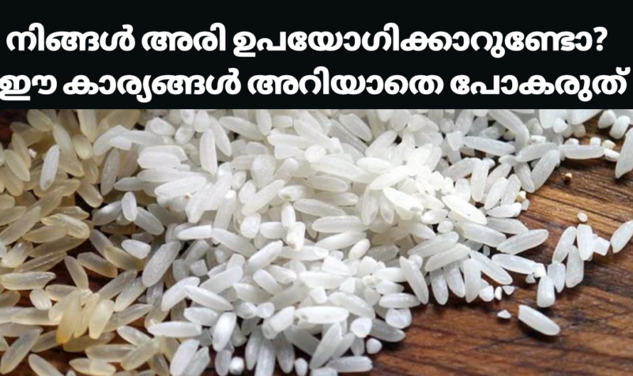 അരി ഉപയോഗിക്കുന്നവർ ഈ കാര്യങ്ങൾ കൂടി അറിഞ്ഞിരിക്കൂ