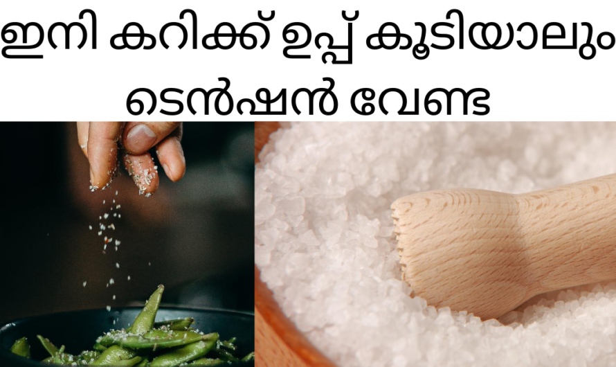 കറിക്ക് ഉപ്പ് കൂടിയോ? കുറയ്ക്കാൻ ചില പൊടിക്കൈകൾ