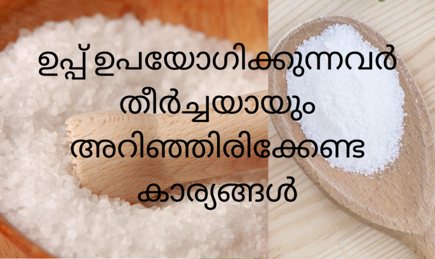 ഉപ്പ് ഉപയോഗിക്കുന്നവർ ഈ കാര്യങ്ങൾ അറിയാതെ പോകരുത്