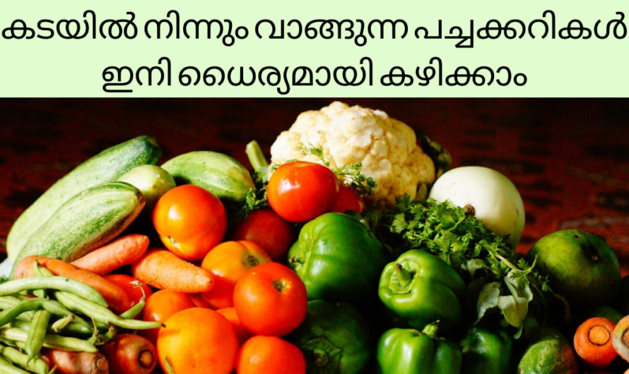 വിഷമില്ലാതെ പച്ചക്കറി കഴിക്കാൻ ഈ വെള്ളത്തിൽ കഴുകാം