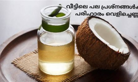 usages of coconut oil