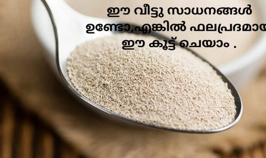 ഗുണമേന്മയുള്ള യീസ്റ്റ് ഇനി വീട്ടിൽ തയ്യാറാക്കാം .