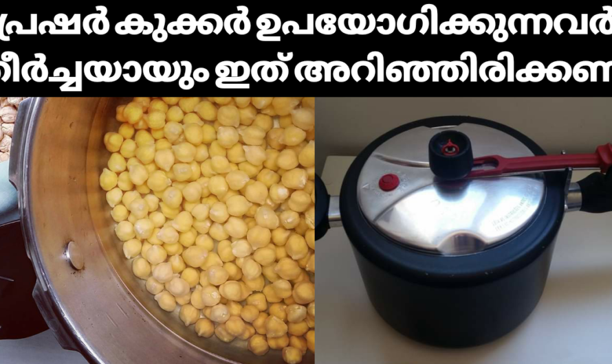 നിങ്ങൾ പ്രഷർ കുക്കർ ഉപയോഗിക്കുന്നവരാണോ? ഈ കാര്യങ്ങൾ അറിയാതെ പോകരുത്