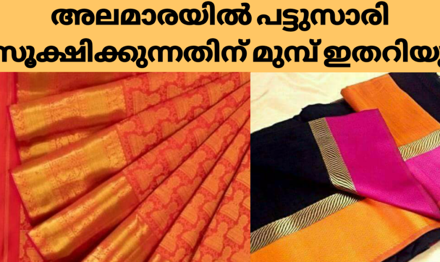 പട്ടുസാരി ഉപയോഗിക്കുന്നവർ അറിഞ്ഞിരിക്കൂ ഈ കാര്യങ്ങൾ