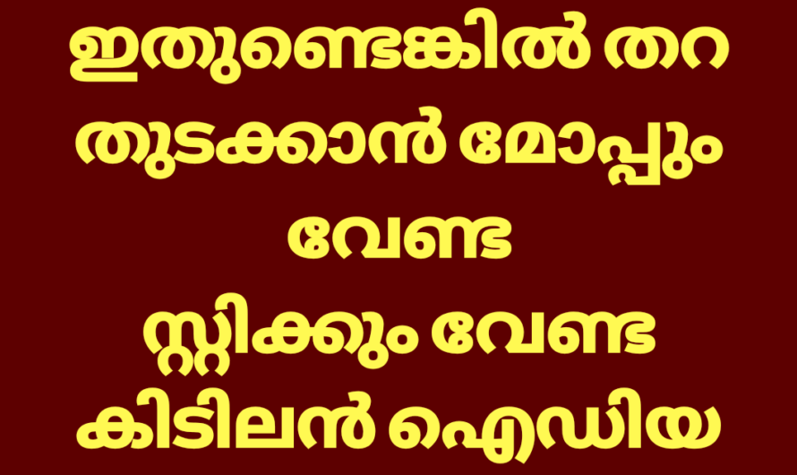 തറ തുടക്കാൻ മോപ്പ് വേണ്ട, സ്റ്റിക്ക് വേണ്ട, പുതിയ ഐഡിയ