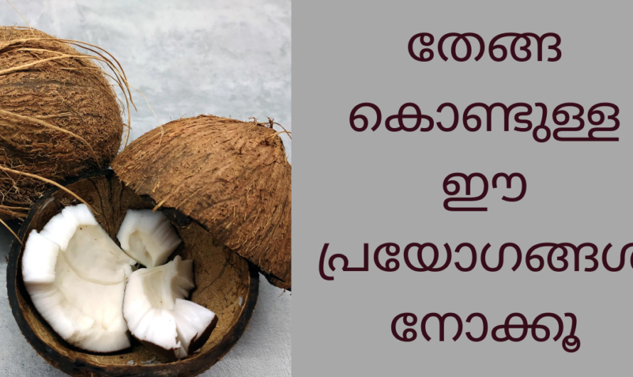 തേങ്ങ കൊണ്ടുള്ള ഈ പ്രയോഗം അറിയാതെ പോകരുത്