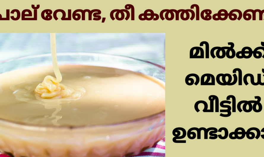 മിൽക്ക് മെയിഡ് ഇനി അതേ രുചിയിൽ വീട്ടിൽ ഉണ്ടാക്കാം