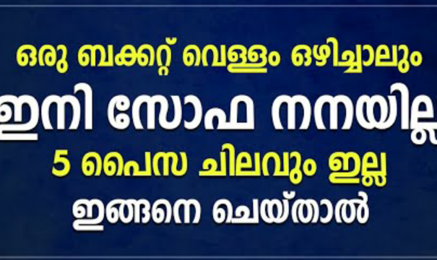 ഇത് ചെയ്താൽ ഒരു ബക്കറ്റ് വെള്ളം ഒഴിച്ചാലും സോഫ നനയില്ല