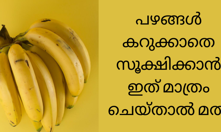 കടയിൽ നിന്നും വാങ്ങുന്ന പഴങ്ങൾ കറുക്കാതെ ദിവസങ്ങളോളം സൂക്ഷിക്കാം