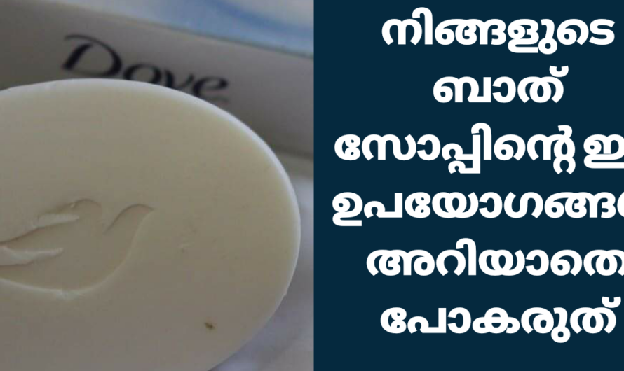 ബാത് സോപ്പിൻ്റെ ഇതുവരെ കേട്ടിട്ടില്ലാത്ത ഉപയോഗങ്ങൾ