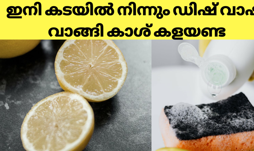 നാരങ്ങ കൊണ്ട് ഡിഷ് വാഷ് ലിക്യുഡ് വീട്ടിലുണ്ടാക്കാം