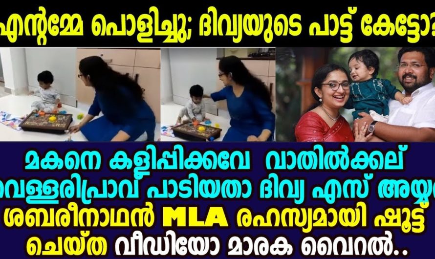 വാതിക്കലെ വെള്ളരിപ്രാവ് താരാട്ടാക്കി ദിവ്യ എസ് അയ്യർ, ഏറ്റെടുത്ത് സോഷ്യൽ മീഡിയ