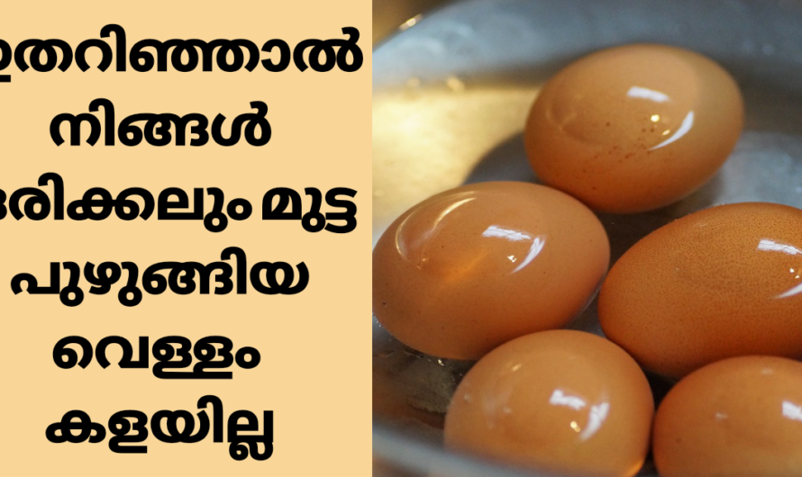 മുട്ട പുഴുങ്ങിയ വെള്ളം കളയല്ലേ.. ഈ ഉപയോഗം അറിയാതെ പോകരുത്