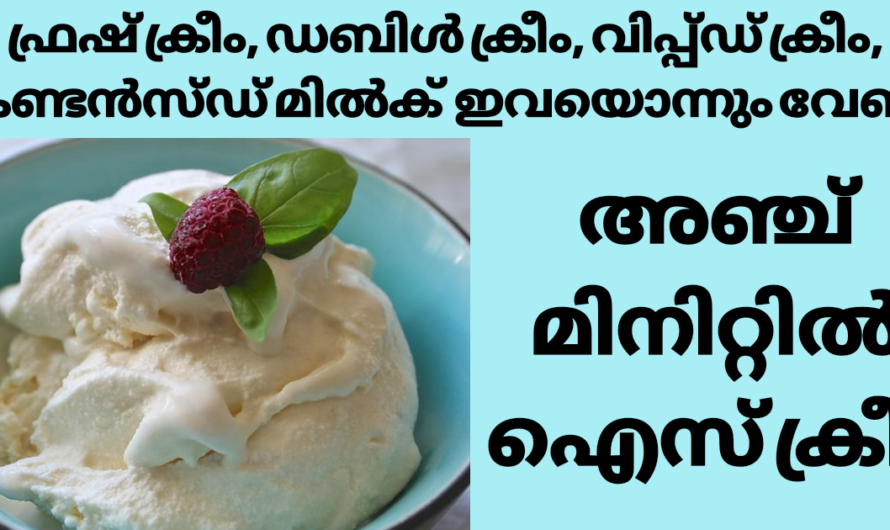 വീട്ടിൽ പാലും ഗോതമ്പ് പൊടിയുമുണ്ടോ? 5 മിനിറ്റിൽ ഐസ്ക്രീം ഉണ്ടാക്കാം