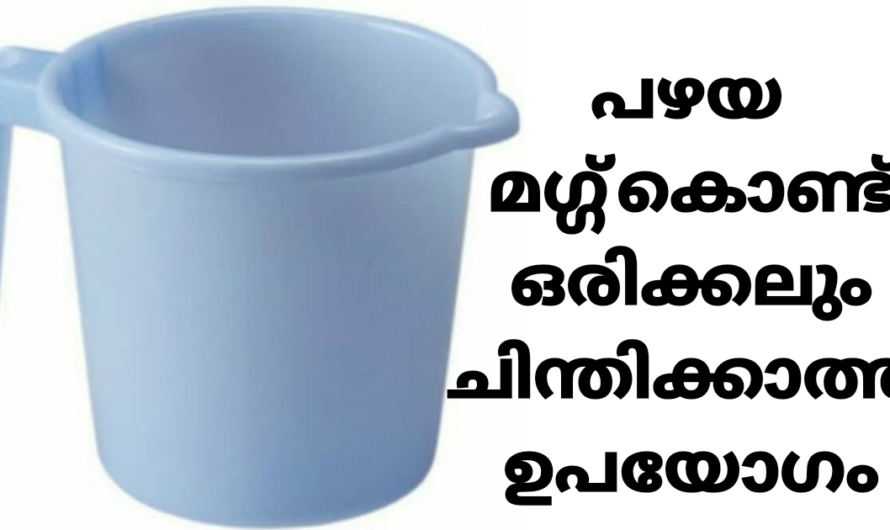 പൊട്ടിയ മഗ്ഗ് കൊണ്ട് അടിപൊളി വോൾ വേസ്