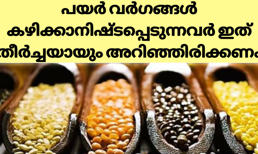 പയർ വർഗങ്ങൾ ഉപയോഗിക്കുന്നവർ ഈ കാര്യങ്ങൾ അറിയാതെ പോകരുതേ