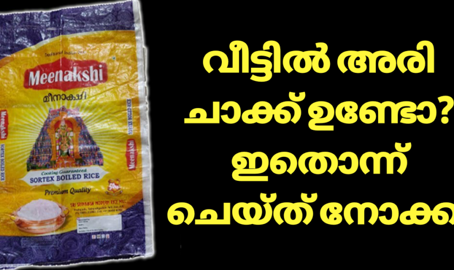 അരി ചാക്ക് ഒരെണ്ണം മതി മഴക്കാലത്തെ ഈ പ്രശ്നം പരിഹരിക്കാൻ