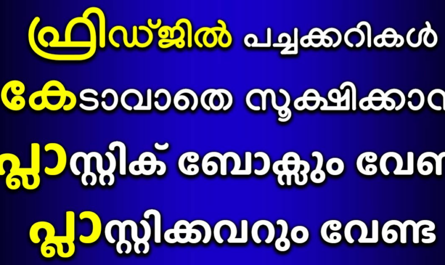 ഫ്രിഡ്ജിൽ പച്ചക്കറികൾ കേടാകാതെ സൂക്ഷിക്കാൻ എളുപ്പവഴി