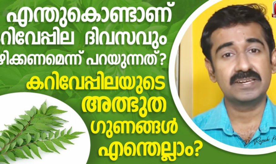 കറിവേപ്പിലയുടെ ഈ അത്ഭുത ഗുണങ്ങൾ തീർച്ചയായും അറിഞ്ഞിരിക്കൂ