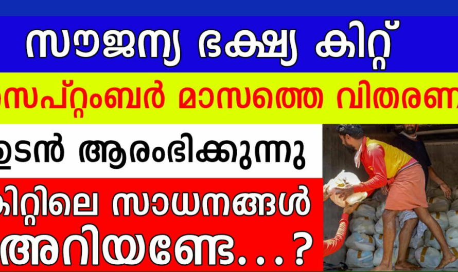 സെപ്റ്റംബർ മാസത്തിലെ സൗജന്യ കിറ്റ് വിതരണം വൈകാതെ തുടങ്ങും