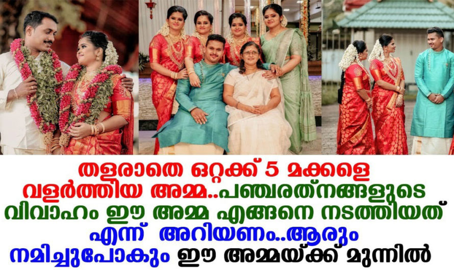 പ്രതിസന്ധികളിൽ തളരാതെ പോരാടി നേടിയ ജീവിതം പഞ്ചരത്നങ്ങളുടെ വിവാഹത്തെക്കുറിച്ച് അമ്മയ്ക്ക് പറയാനുള്ളത്