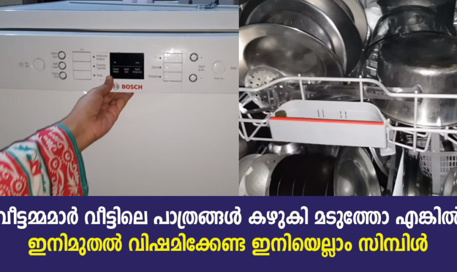 വീട്ടിമ്മമാർ ഇനി പാത്രം കഴുകി സമയം കളയേണ്ട ഇനിയെല്ലാം സിമ്പിള്‍