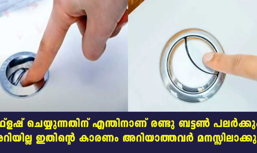 ഫ്ലഷ് ടാങ്കിലെ ചെറുതും വലുതുമായ രണ്ടു ബട്ടണ്‍ എന്തിനാണ് പലര്‍ക്കും അറിയാത്ത കാര്യം