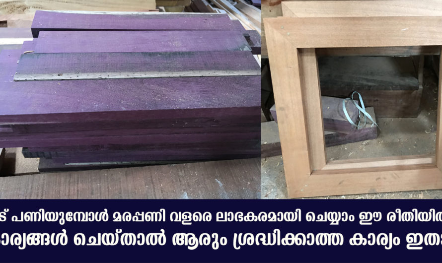 വീട് പണിയുമ്പോൾ മരപ്പണി എങ്ങനെ ലാഭകരമായി ചെയ്യാം ഇക്കാര്യങ്ങൾ അറിഞ്ഞിരിക്കുക