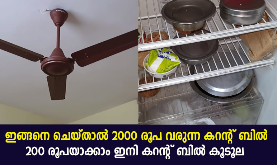 ഇങ്ങനെ ചെയ്തു നോക്കൂ 2000 രൂപ വരുന്ന ഇലക്ട്രിസിറ്റി ബിൽ വളരെ അധികം കുറയ്ക്കാന്‍ സാധിക്കും