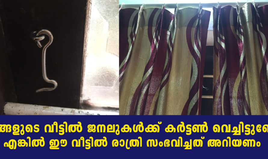 വീട്ടിലെ ജനലുകള്‍ക്ക് കര്‍ട്ടണ്‍ വെച്ചിട്ടുണ്ടോ എങ്കില്‍ ഈ വീട്ടില്‍ രാത്രി സംഭവിച്ചത് അറിയാതെ പോകരുത്