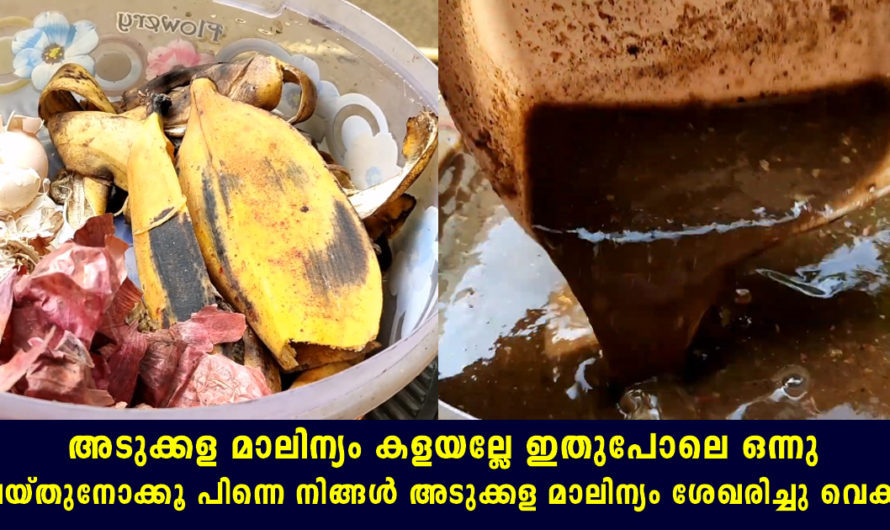 അടുക്കള മാലിന്യം കളയല്ലേ വെറും രണ്ട് മിനിറ്റ് മതി ഇങ്ങനെ ഒന്നു ചെയ്ത്നോക്കൂ