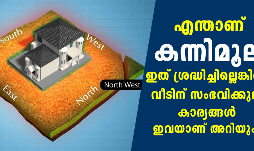 എന്താണ് കന്നിമൂല ഇത് ശ്രദ്ധിച്ചില്ലെങ്കില്‍ വീടിന് സംഭവിക്കുന്നത്‌ എന്താണ് അറിഞ്ഞിരിക്കുക ഈ കാര്യങ്ങള്‍