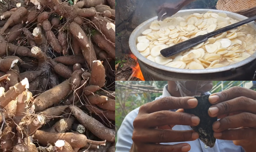 രണ്ട് കഷ്ണം കപ്പയുണ്ടോ എങ്കില്‍ ഒരിക്കലെങ്കിലും ഇങ്ങനെ ചെയ്തുനോക്കണം ഇതാണ് കപ്പ വാട്ട്‌