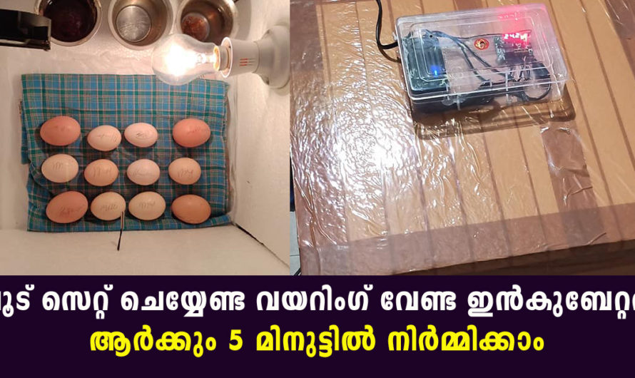 അഞ്ചു മിനിറ്റിൽ ഇൻക്യൂബേറ്റർ നിർമ്മിക്കാം ആര്‍ക്കും വളരെ ഈസ്സിയായി വീട്ടില്‍ ഇരുന്ന്