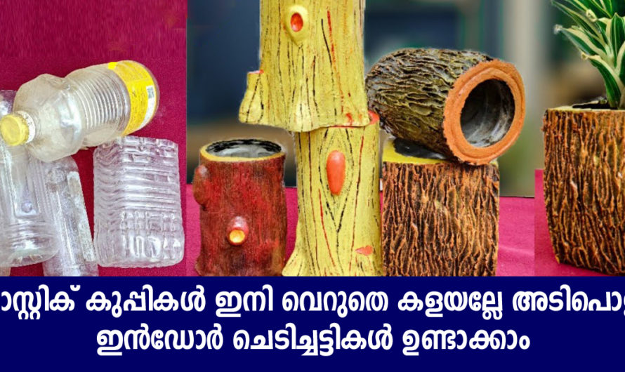 പ്ലാസ്റ്റിക് കുപ്പികൾ ഇനി വെറുതെ കളയല്ലേ അടിപൊളി ഇൻഡോർ ചെടിച്ചട്ടികൾ ഉണ്ടാക്കാം വളരെ പെട്ടന്ന്